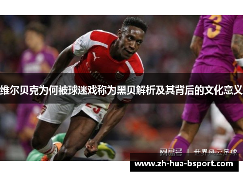 维尔贝克为何被球迷戏称为黑贝解析及其背后的文化意义 维尔贝克为何被球迷戏称为黑贝解析及其背后的文化意义